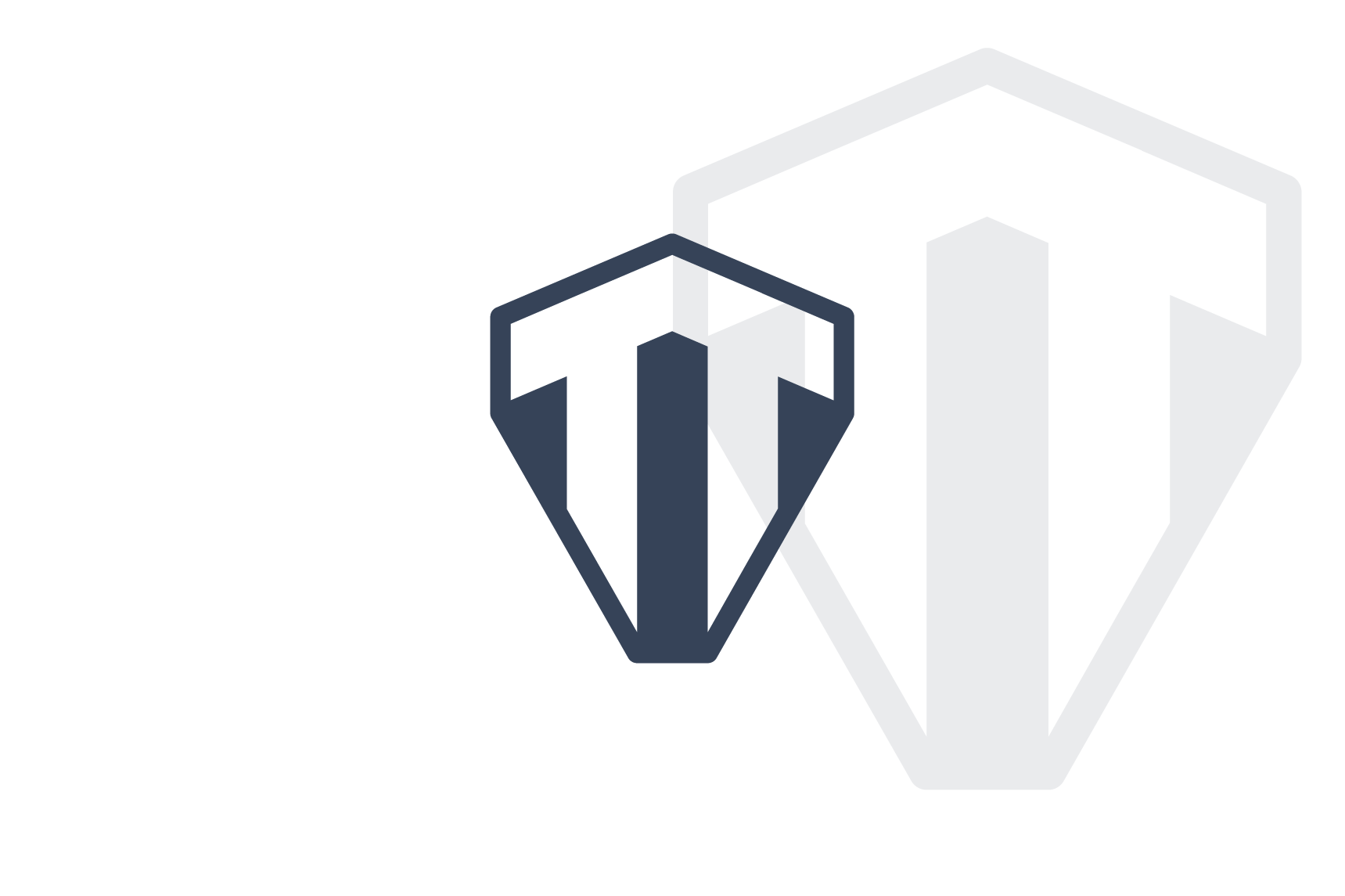 Logo right side dark
