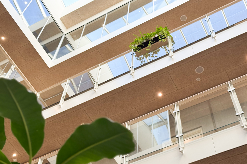 techtown miljøbilleder 2
